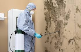 Asbestos and Lead Testing During Mold Inspection in Beacon, NY